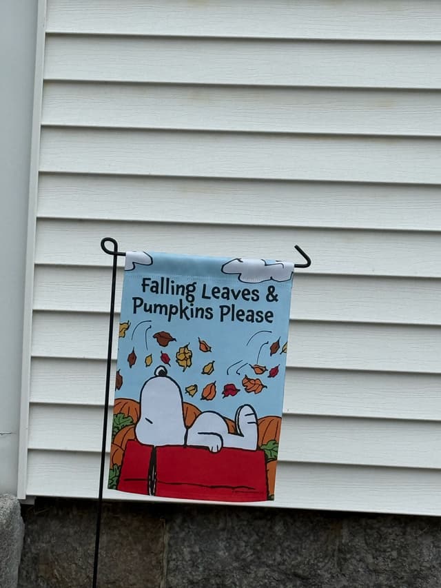 Triathlon 2025 photo 38