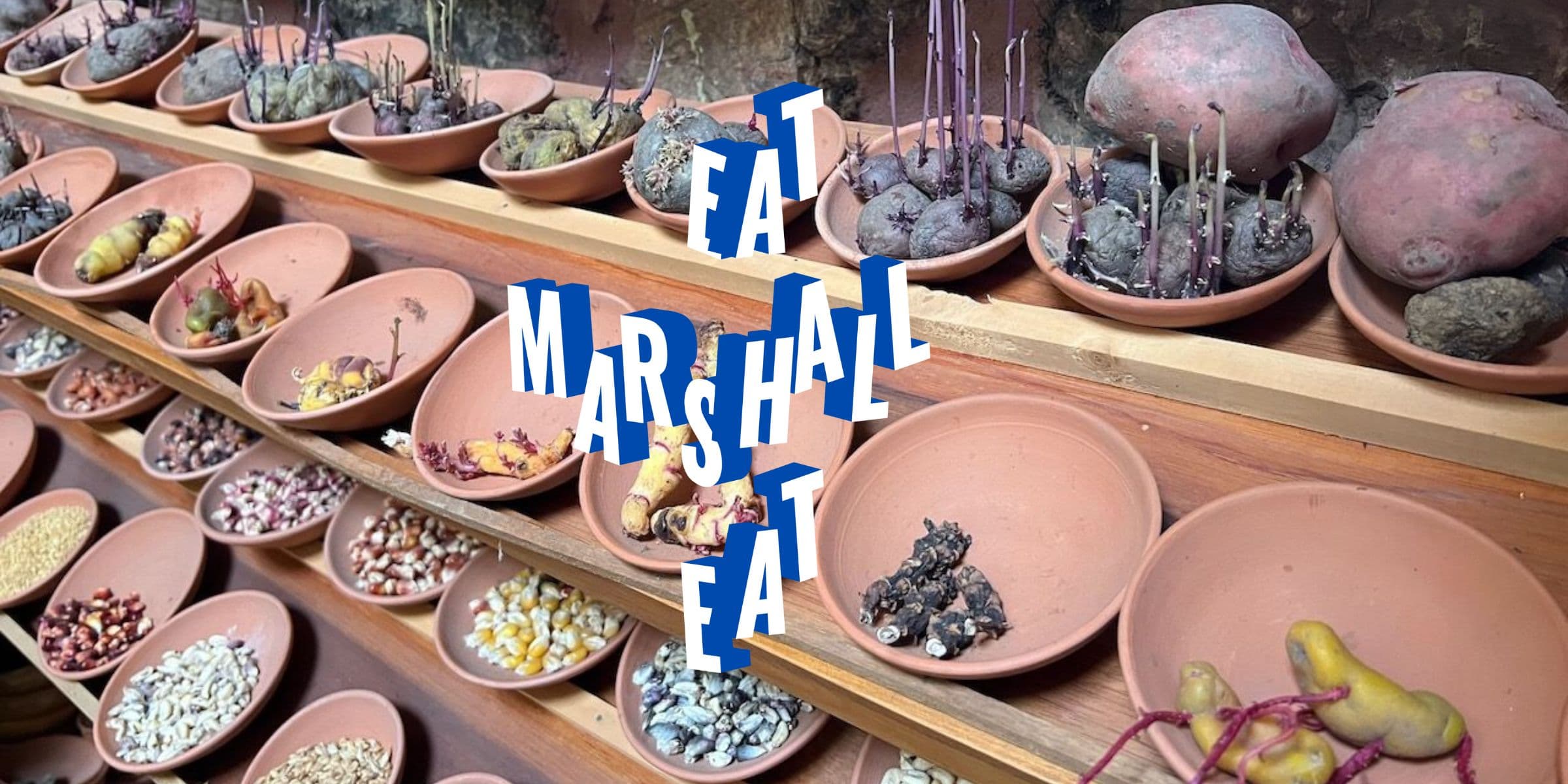 Coffee poured into a cup, a snapshot from fieldwork travel.