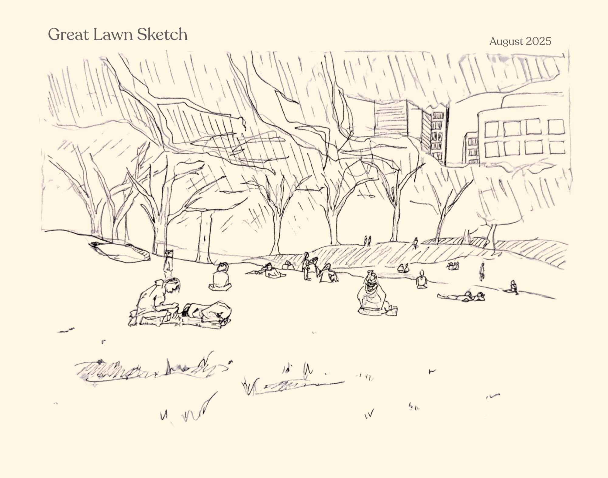 Great Lawn Sketch